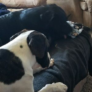 Meet your Posher, Sherry